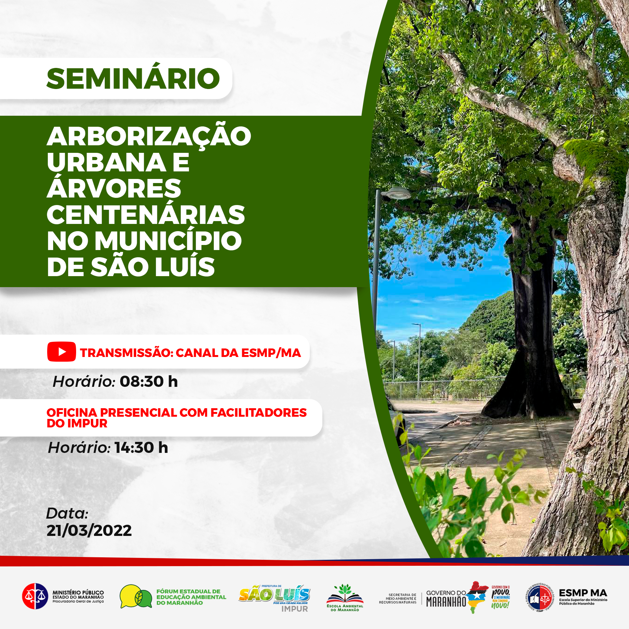 Seminário "Arborização Urbana e Árvores Centenárias no Município de São Luís