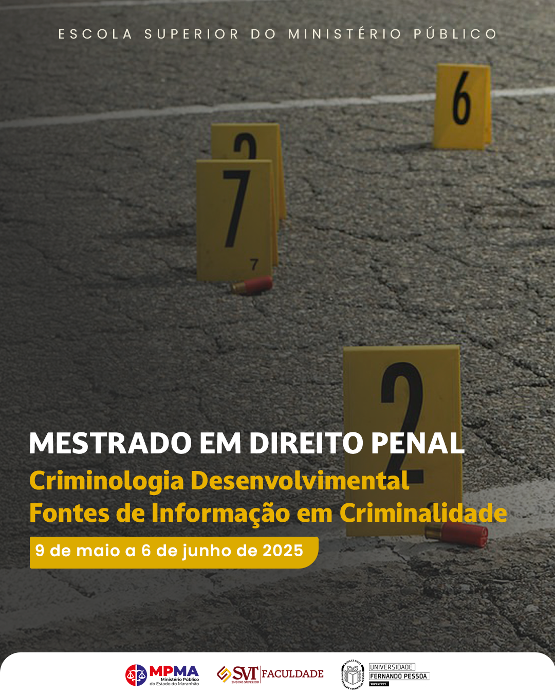 MESTRADO EM DIREITO PENAL - Linha de pesquisa: CRIMINOLOGIA